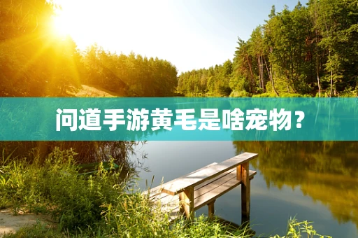 问道手游黄毛是啥宠物？