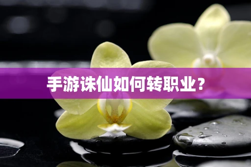手游诛仙如何转职业？