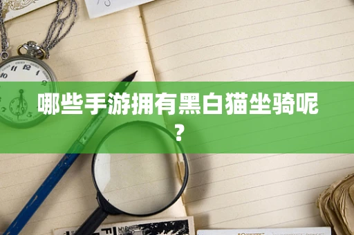 哪些手游拥有黑白猫坐骑呢？