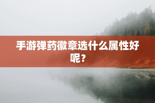 手游弹药徽章选什么属性好呢？
