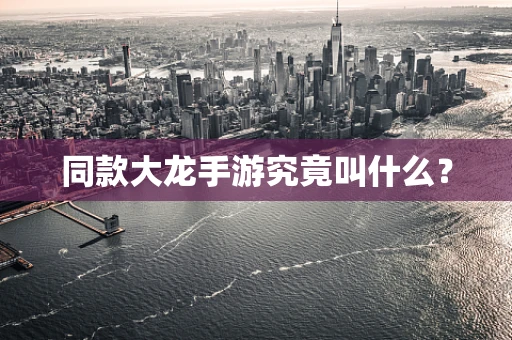 同款大龙手游究竟叫什么？