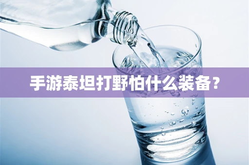 手游泰坦打野怕什么装备？
