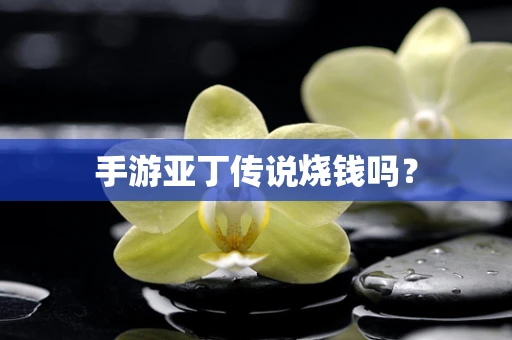 手游亚丁传说烧钱吗？