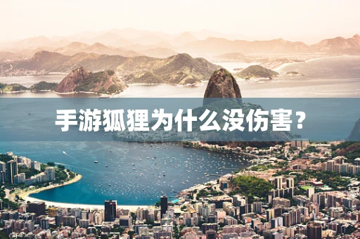 手游狐狸为什么没伤害？