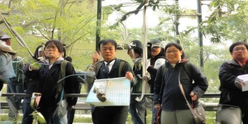 CF手游推荐用什么手柄？