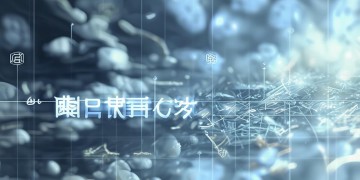 火影手游退款该填写什么？