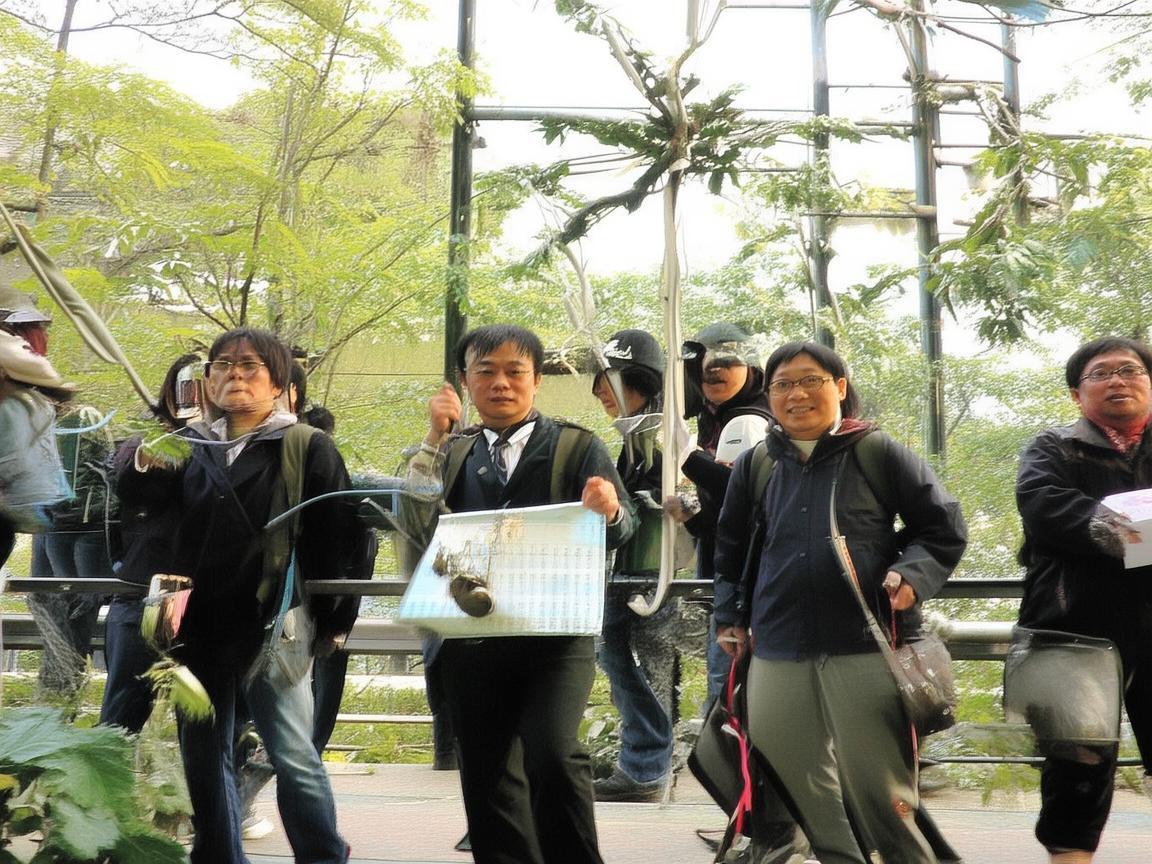 CF手游推荐用什么手柄？